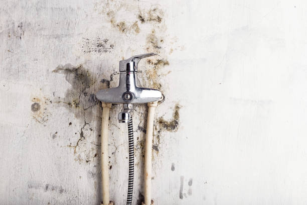 Best Mold Removal Process  in Boley, OK