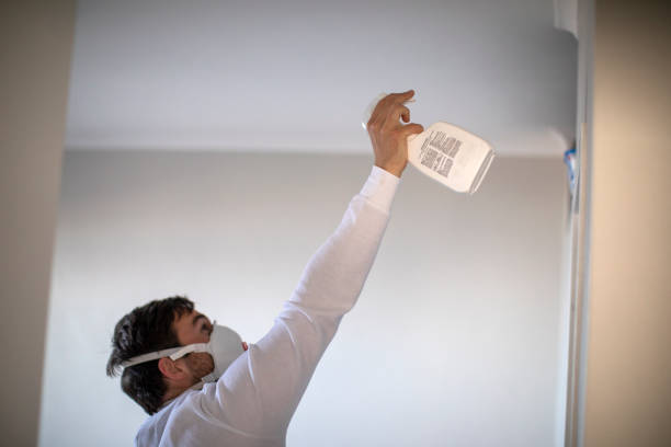 Best Commercial Mold Removal  in Boley, OK