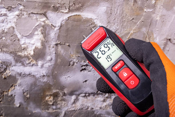  Boley, OK Mold Removal Pros