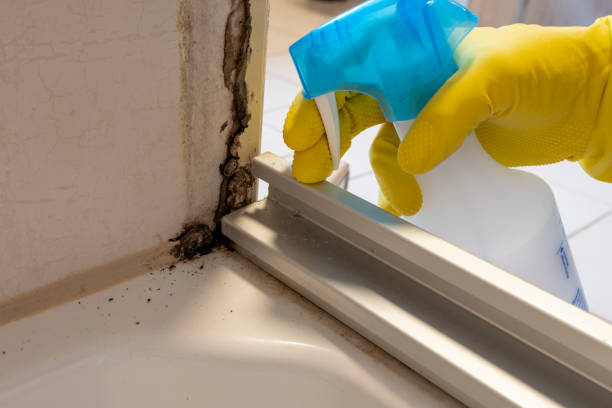 Certified Mold Removal in Boley, OK