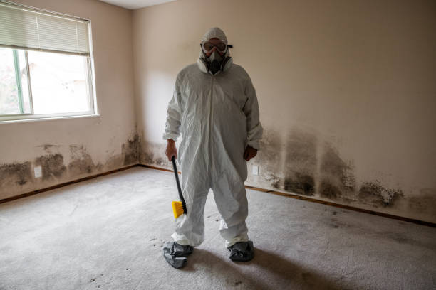 Mold Removal and Inspection in Boley, OK